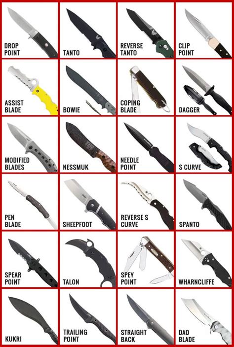 Best Knife Steel 2024 Daune Eolande