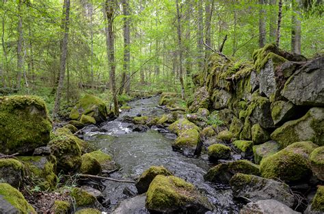 Wallpaper Landscape Rock Grass Wall Moss River Back Wilderness