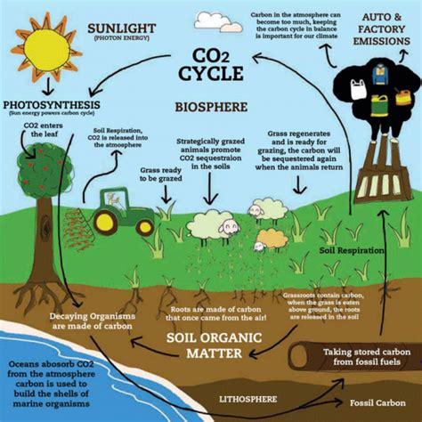 Managing Rangelands To Capture Co2 Yale Climate Connections