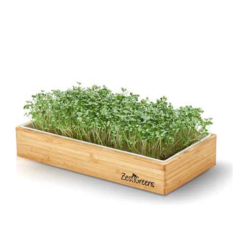 Microgreens Growing Kit Self Watering With 3 Mats And Your Choice Of Org