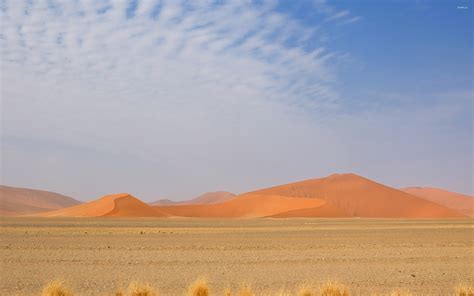 Namib Desert 7 Wallpaper Nature Wallpapers 43364