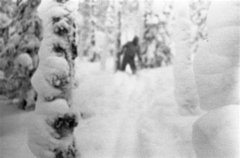 History’s Mysteries The Dyatlov Pass Incident The Sapphic Academic