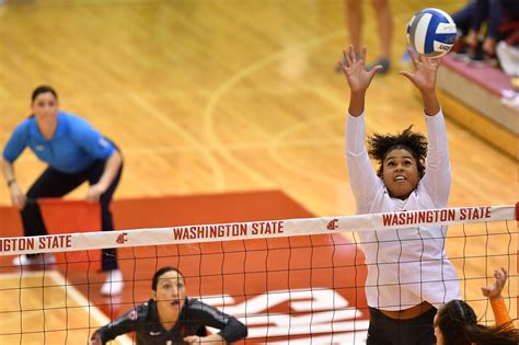 Cougar Volleyball Sees Its Season End In The Sweet 16 Cougcenter