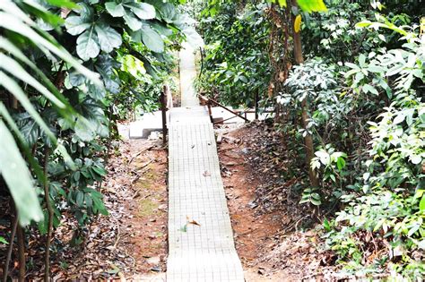 Lengkok bukit kecil, bukit mertajam 2020 august 27. Taman Eco Rimba - Hutan Simpan Bukit Nanas Kuala Lumpur ...