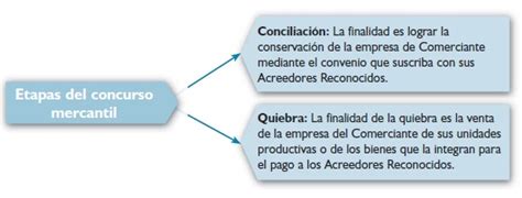 El Comerciante Y La Actividad Mercantil Definición Y Características