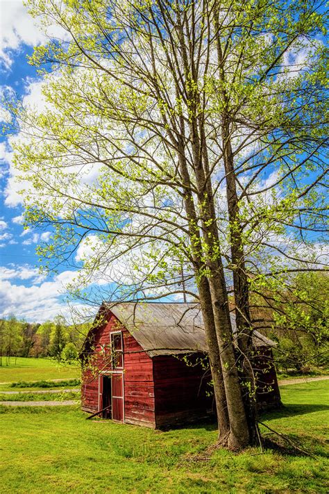 Springtime At The Barn Photograph By Debra And Dave Vanderlaan Fine