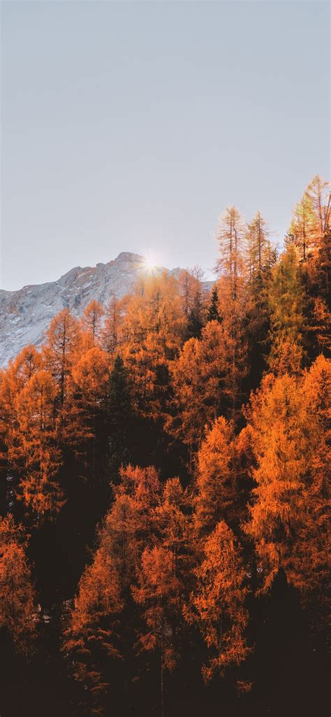 Iphone Autumn Wallpaper 057