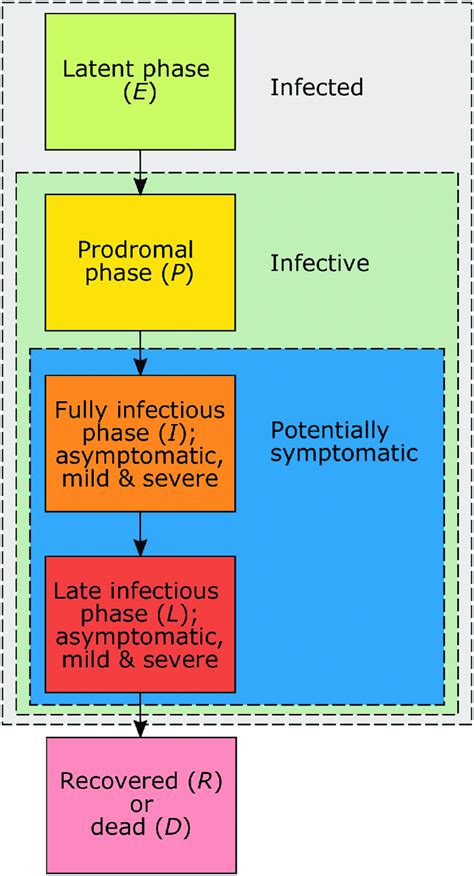 Phases Of The Infection Schematic Representation Of The Disease Phases