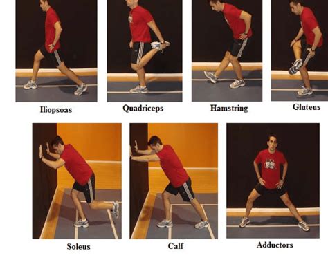 Static Stretching Exercises 3x30s Exercise And Leg Download Scientific Diagram