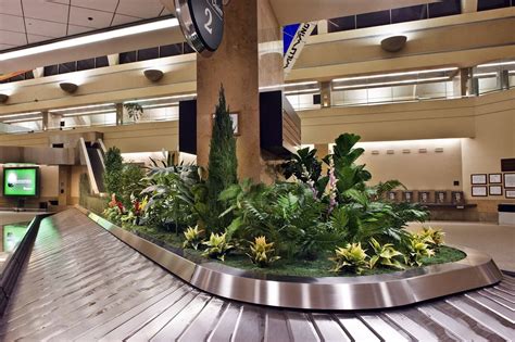 Interior Landscaping At John Wayne Airport Treescapes And Plantworks