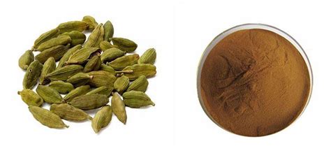 We did not find results for: Buah Pelaga Nama Saintifik - Aretu