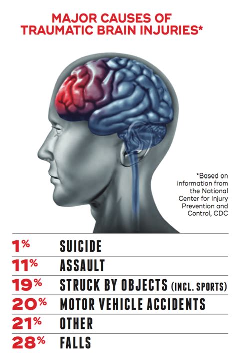 Traumatic Brain Injury And Its Effects On Students Owlcation