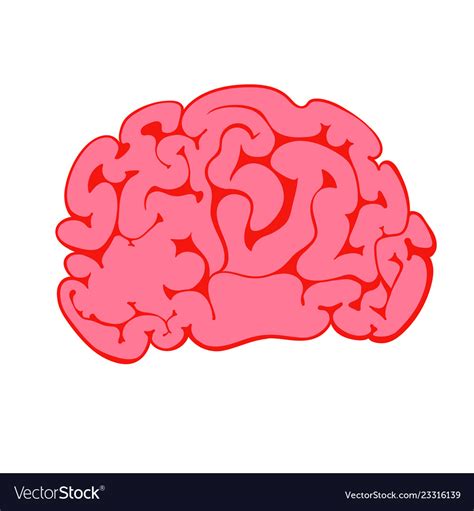 Cartoon Pink Of The Human Brain Royalty Free Vector Image