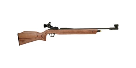 Winchester Model Xs Caliber Multi Pump Pneumatic Bb Pellet