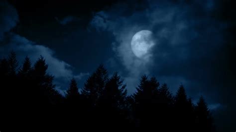 Large Full Moon Above The Forest Stock Footage Videohive