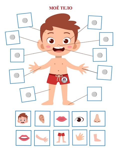А вы можете добавить в нашу копилку свои любимые. Развивающие игры для детей "Моё тело" в 2020 г | Дошкольные учебные мероприятия, Детские игры ...