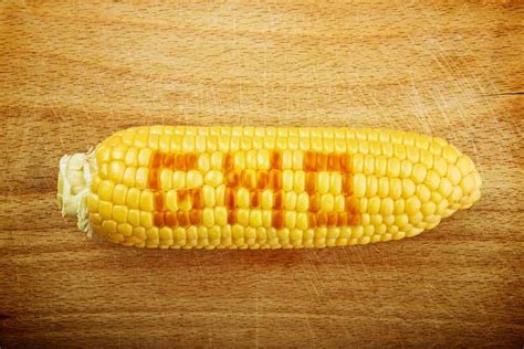 9 Devastating Effects Gmos Have On Your Health Bioptimizers