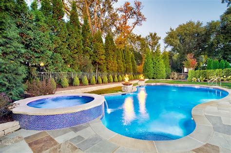 Hinsdale Il Freeform Swimming Pool And Hot Tub