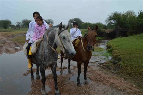 El Regreso A Las Clases Se Realizará En Etapas Primero Las Escuelas