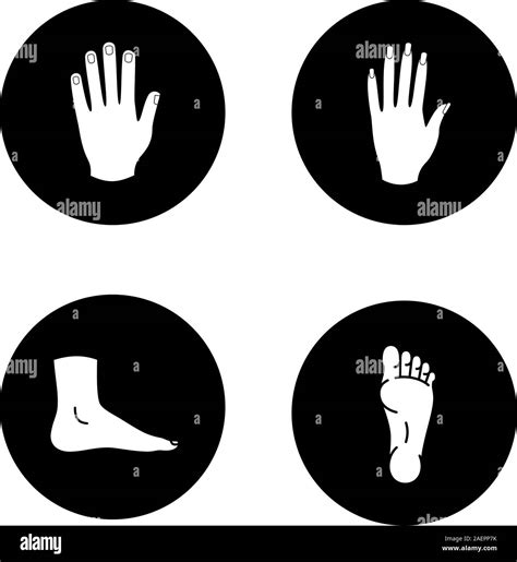 Human Body Parts Glyph Icons Set Male And Female Hands Feet Vector