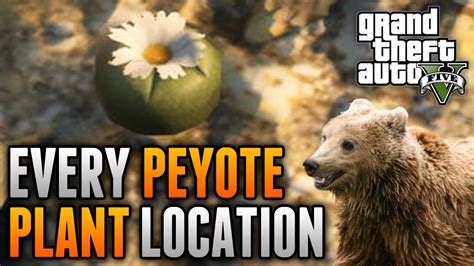 All Peyote Plant Locations