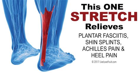 This One Stretch Helps Relieve Plantar Fasciitis Shin Splints Achilles