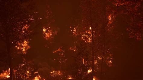 Large Flames Of Forest Fire At Night Motion Background 0010 Sbv