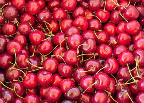 10 Types Of Cherry Trees 🍒 🌳 Dive Into The World Of Sweet And Tart Varieties
