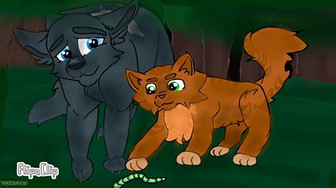 Warriors Music Video ~ Stride By Stride ~ Bluestar And Firepaw Youtube