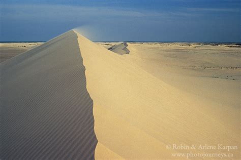 Exploring Saskatchewans Athabasca Sand Dunes Photo Journeys