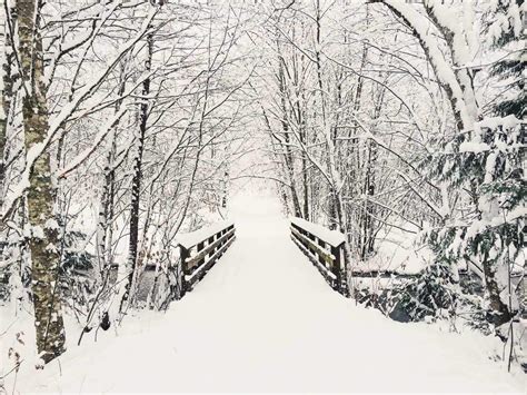 9 Tips For Astonishing Winter Photography On Your Iphone