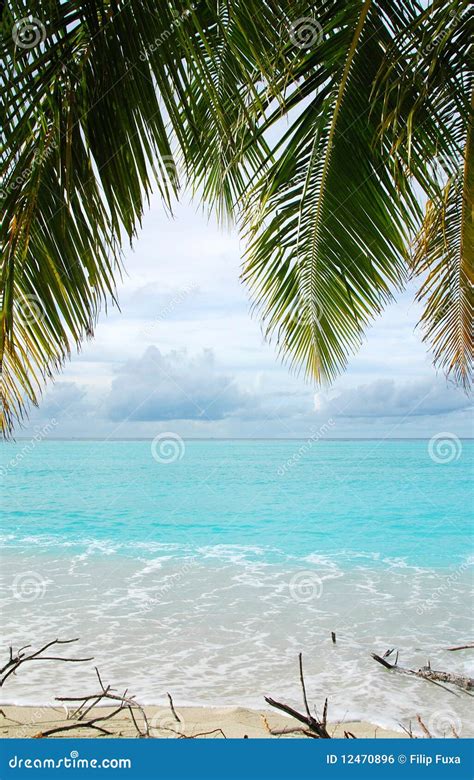 Tropical Beach Stock Photo Image Of Landscape Resort 12470896