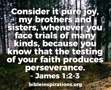 Consider it Pure Joy, My Brothers and Sisters, Whenever You Face Trials of Many Kinds… - Bible ...