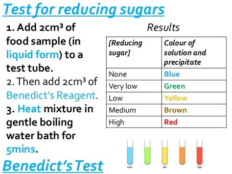 The Benedicts Test For Sugars Revision Notes In A Level And Ib Biology
