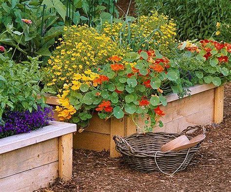 10 Sustainable Gardening Tips To Make Your Yard More Eco Friendly