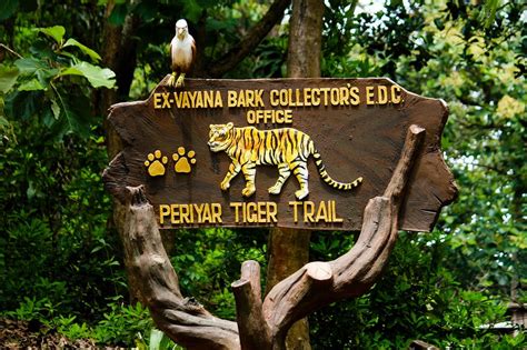 In 1972, india enacted the wildlife protection act and project tiger in 1973 to safeguard the habitats of conservation reliant species. Top 10 National Parks In India to enjoy the Wildlife