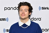 Harry Styles' Song 'Golden' Was One of the First He Wrote for 'Fine ...
