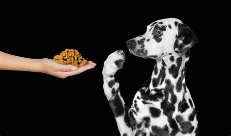 Dog food recall issued 00:20. 10 Dog Food Brands With Most Recalls Ever | Dog food ...