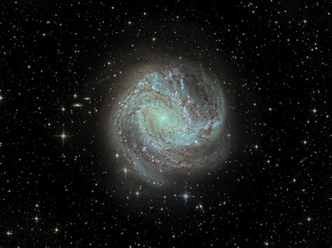 M83 The Southern Pinwheel Galaxy Telescope Live