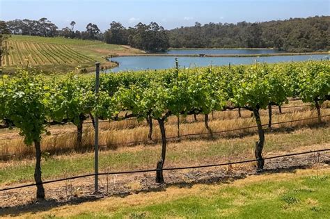 10 Unmissable Vineyards And Wineries To Visit In The Margaret River