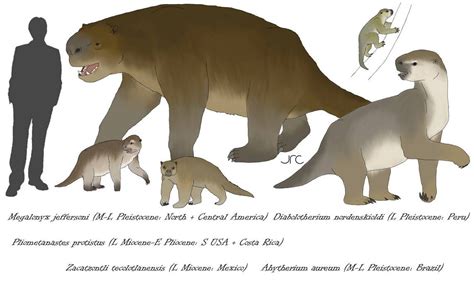 Ground Sloths 2 Megalonychids By Artbyjrc On Deviantart Extinct