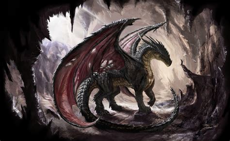 Black Dragon Art Wallpapers Top Free Black Dragon Art Backgrounds