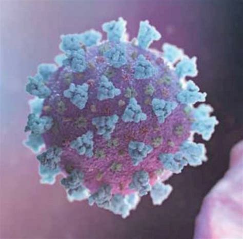 Porque Os Vírus São Considerados Parasitas Intracelulares Obrigatórios