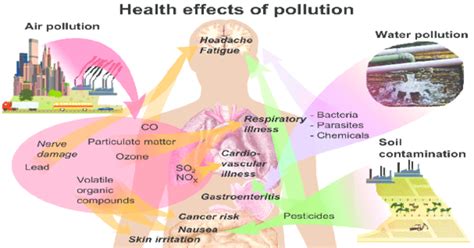 Effects Of Pollution On Health Air Water And Land Pollution 1 Min Read