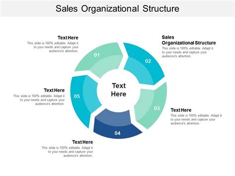 Sales Organizational Structure Ppt Powerpoint Presentation Slides