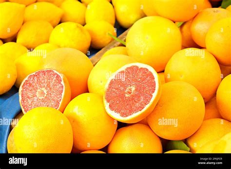 Harvest Heap Of Fresh Ripe Organic Yellow And Red Grapefruits On