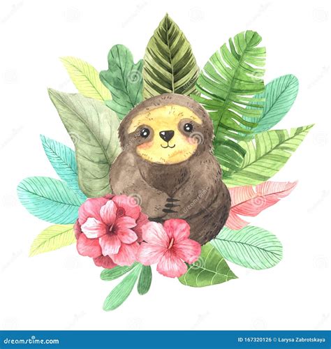 Watercolor Hand Painted Cute Sloths Stock Illustration Illustration