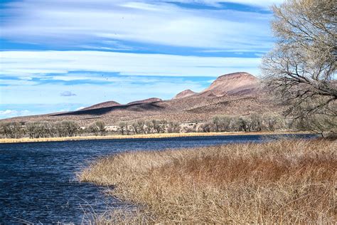 Upper Pahranagat Lake Nevada National Wildlife Refuge Flickr
