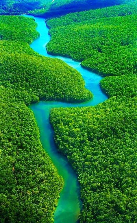 10 Worlds Amazing And Beautiful Forests Our World Stuff