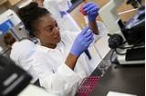 Who Works In A Medical Laboratory
